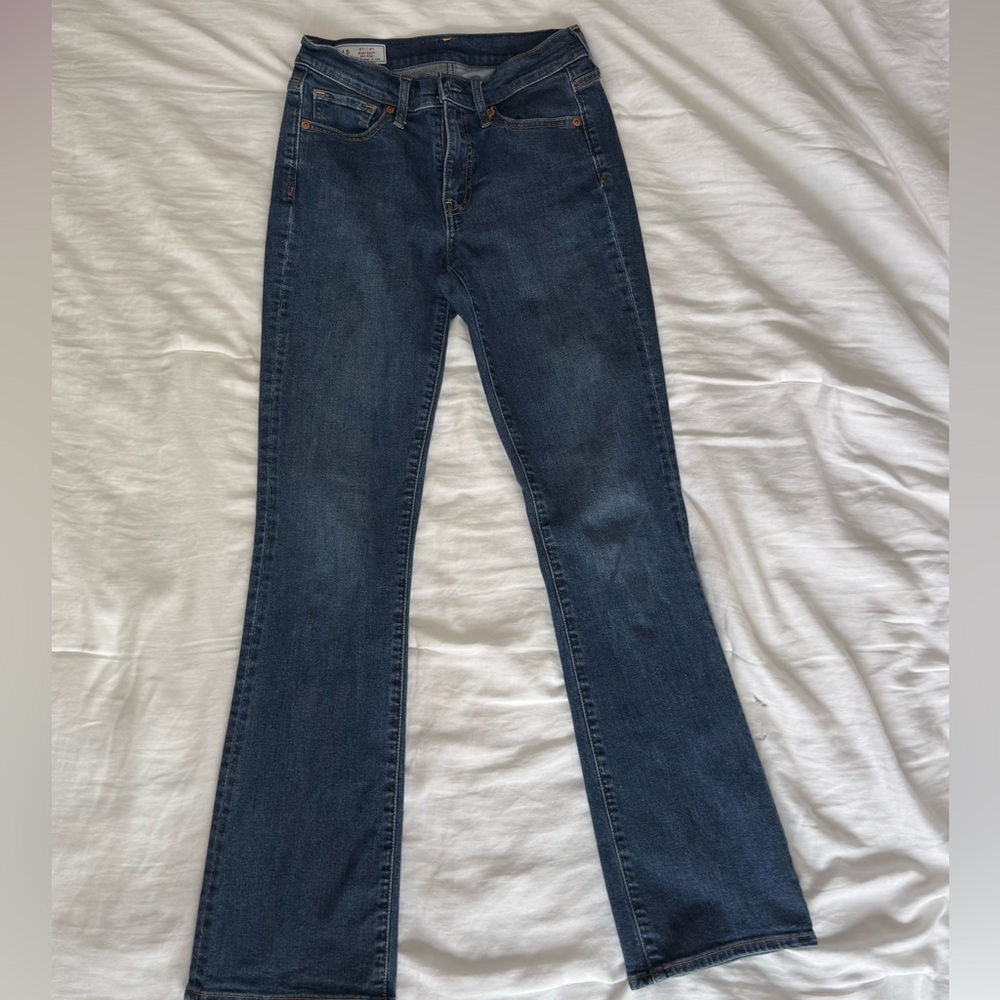 GAP Dark Blue Flare Jeans